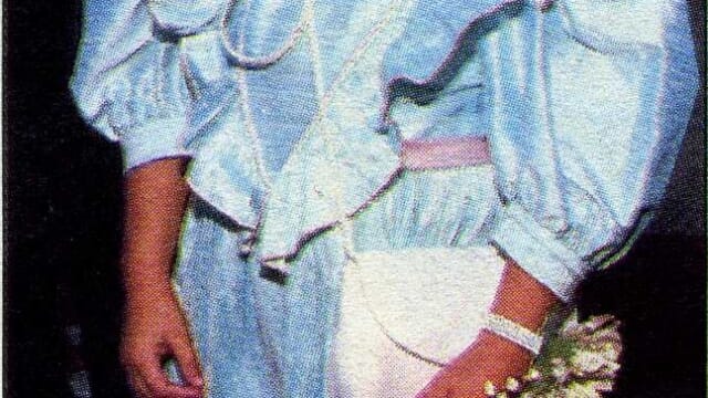 A Star Before A Teen – Bluzman’s (Chuck) Judith Barsi page